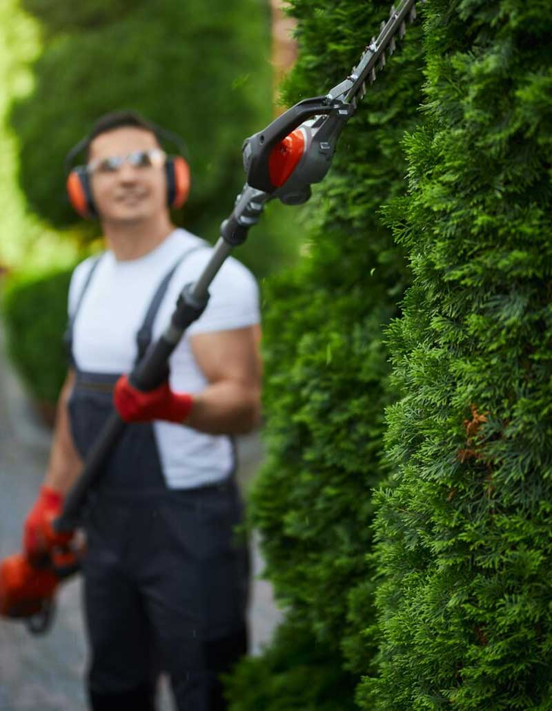 landscaping-des-moines-iowa