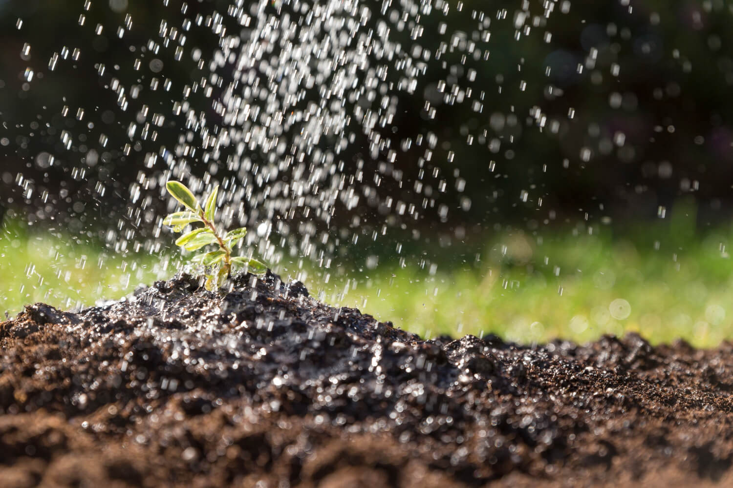 Hydroseeding pool-maintenance-services